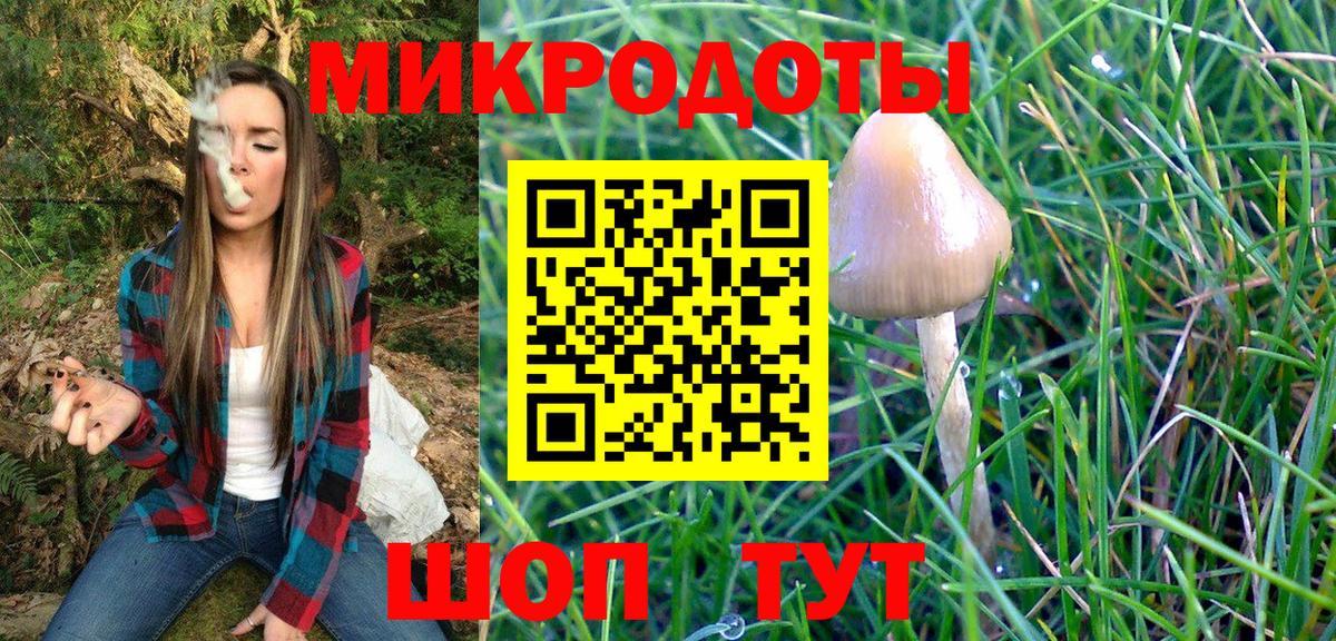 Псилоцибиновые грибы Psilocybine cubensis  Вход с VPN  Артёмовский  купить  сайты  Псилоцибиновые грибы Psilocybe 